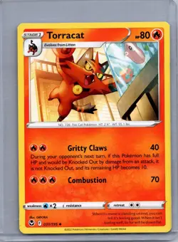 TORRACAT 031/195 UNCOMMON SILVER TEMPEST POKEMON NM/M - Image 1