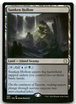 Sunken Hollow #265 (NM) Forgotten Realms AFC Magic MTG - Image 1