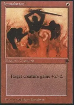 1x Immolation Heavy Play MTG Magic - Kid Icarus - - Image 1