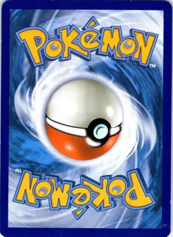 Squirtle - 33/214 (Premium Collection Promo) 033/214 Holo Pokemon NM - Image 2