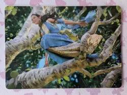 Arwen Undomiel Art Card #13 S Art Series: The Lord of the Rings - Image 1