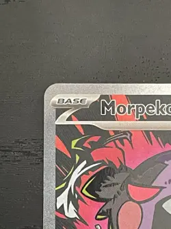 Morpeko SIR 117/84 Pitch Black French Pokemon Card Nuit Noir NM - Image 2