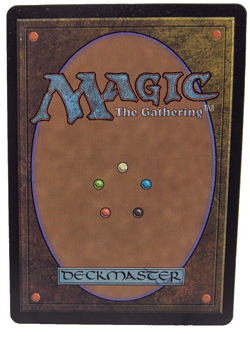 Hallowed Fountain Dissension 174/180 MTG MP RUSSIAN - Image 2