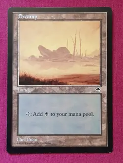 Magic The Gathering TEMPEST SWAMP B land card MTG - Image 1