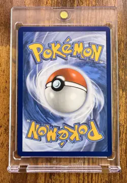 Chespin 087/086 IR Illustration Rare Me04 Chaos Rising Pokemon NM - Image 2