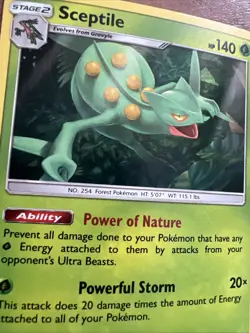 Pokemon TCG - Sceptile 10/168 - Cracked Ice Holo - Celestial Storm - LP - Image 2