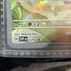 Eevee 173 Sv: Scarlet & Violet Promo Cards Holo Mint Condition - Image 4