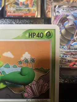 Treecko - 005/075 EX Miracle Crystal NM/EX - Japanese Pokemon Card - Image 3