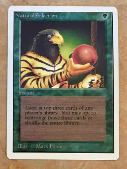 MTG Lot of 13 Unlimited Edition - Lightly Played Magic cards - Natural Selection - Image 3