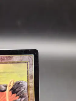 MTG Peat Bog FOIL – Mercadian Masques - English Lightly Played - Image 2