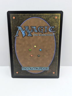 MTG Spiderman - Villainous Wrath - Rare - Borderless - Sorcery - SPG 259 - - Image 2