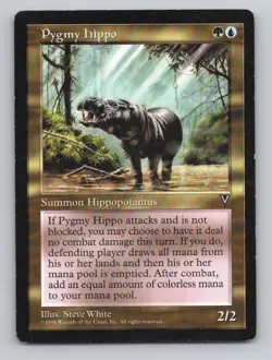 Pygmy Hippo R Visions MP - Image 1