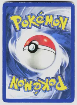 DARK GYARADOS (PRERELEASE) 08/82 HOLO P WOTC PROMO POKEMON DMG - Image 2