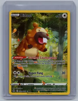 Bidoof GG29/GG70 Holo Crown Zenith Galarian Gallery Pokemon NM - Image 1