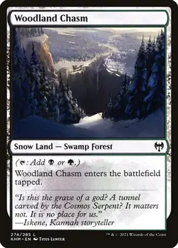 Woodland Chasm 1x MtG Kaldheim SP/NM - Image 1