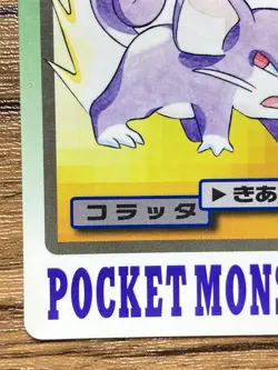 Pokemon Carddass Card Rattata File No.19 Bandai Pocket Monsters 1997 Japan - Image 5