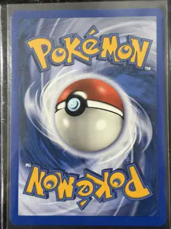 Charmander (98) EX Expedition 098/165 Pokemon Card NM - Image 2
