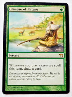 Magic MTG: Glimpse of Nature Champions of Kamigawa #210/306 LP-NM - Image 1