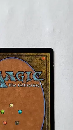 Magic MTG: Glimpse of Nature Champions of Kamigawa #210/306 LP-NM - Image 4