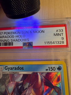 PSA 9 Gyarados Holo #33 2017 Pokemon Sun & Moon Burning Shadows MINT Graded Card - Image 3