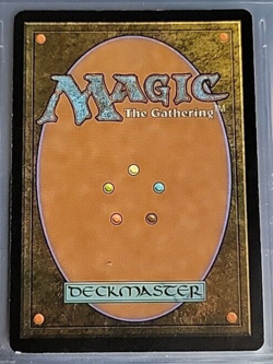 MTG Sygg, River Guide Lorwyn 251/301 Regular Rare - Image 2