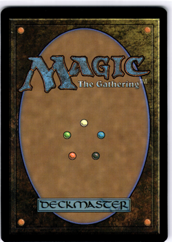 Tidus, Yuna's Guardian Extended Art NM MTG - Image 2