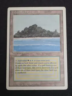 MTG Tropical Island Revised Edition Magic the Gathering Rare - Image 1