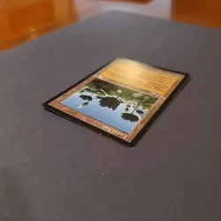 MTG Magic the Gathering Lotus Vale Weatherlight EX Excellent condition - Image 4