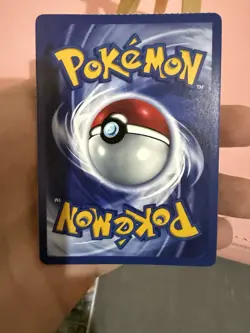 Lugia Pelipper Wingull Mantyke Pokemon Card Display Art Card City - Image 3