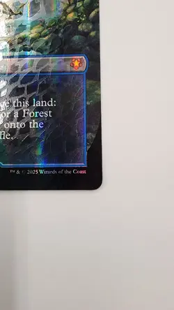 Misty Rainforest X1 Mtg Tarkir Dragon Storm Nm Borderless Foil Dragonscale - Image 4