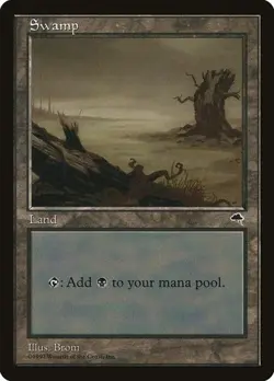 2x Swamp (#340) TMP LP MTG - Image 1