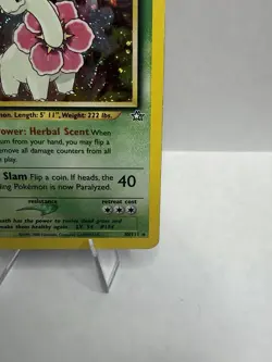 Meganium 11/111 Rare Neo Genesis Pokemon Unlimited Holo Moderately Played - Image 4