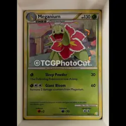 Deck Exclusives MEGANIUM (CRACKED ICE HOLO) 26/123 Holo Rare Pokemon HP - Image 1