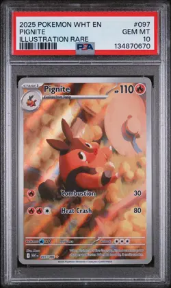Pignite 097/086 Illustration Rare White Flare EN Pokemon PSA 10 - Image 1