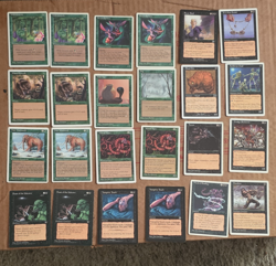 Wizards of the Coast Magic: The Gathering Fallen Empires 1994 24 Card Lot - Image 1