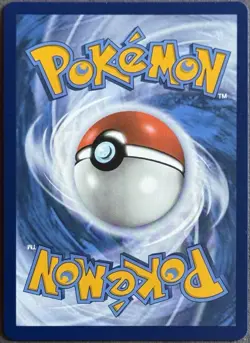 Paldean Clodsire ex Paldean Fates 059/091 Double Rare 2024 Pokemon TCG Near Mint - Image 2
