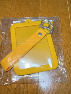 Pokemon Eevee Card Display Key Holder No Major - Image 2