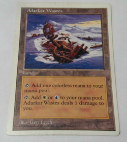 x1 Adarkar Wastes Fifth Edition 5th MTG Magic The Gathering TexasNerdGames DSC - Image 2