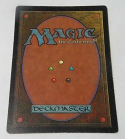 x1 Adarkar Wastes Fifth Edition 5th MTG Magic The Gathering TexasNerdGames DSC - Image 3