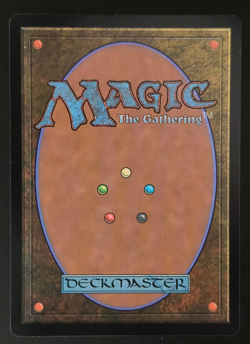 Sylvan Library Borderless - Dominaria Remastered #441 NM - Image 2