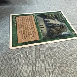 MTG 4th edition, Sylvan Library. 1995 Vintage Magic! Lo - Image 4