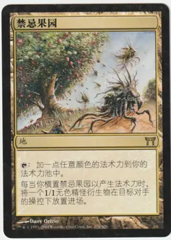 Champions of Kamigawa MTG Chinese Forbidden Orchard Magic - Image 1