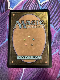 Plains (0262) (Borderless Foil) Edge of Eternities MTG - Image 2