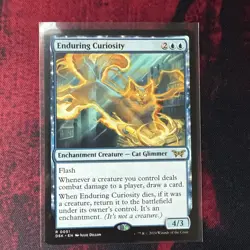 Enduring Curiosity Duskmourn: House of Horror Regular - Image 1