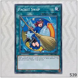 Packet Swap - DANE-EN067 - Common 1st Edition Yugioh - Image 1