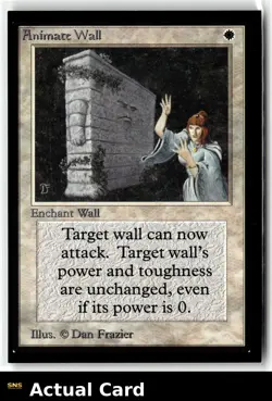 Magic: The Gathering Collectors' Edition Animate Wall - Image 1