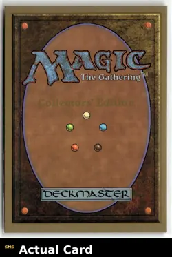Magic: The Gathering Collectors' Edition Animate Wall - Image 2