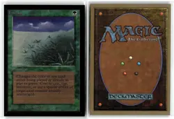 Magic: The Gathering Collectors’ Edition Lifelace - Image 3