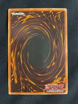 Yu-Gi-Oh! TCG Paladin of White Dragon SKE LP 1st Edition Common - Image 2