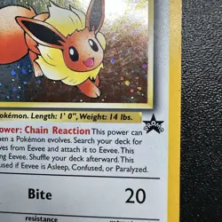 WOTC Pokemon TCG Eevee 11/53 Wotc Promo Holo Promo English Basic 30 HP - Image 3
